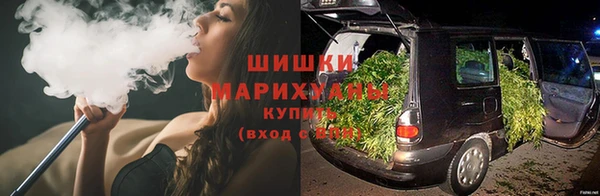 ПСИЛОЦИБИНОВЫЕ ГРИБЫ Коряжма