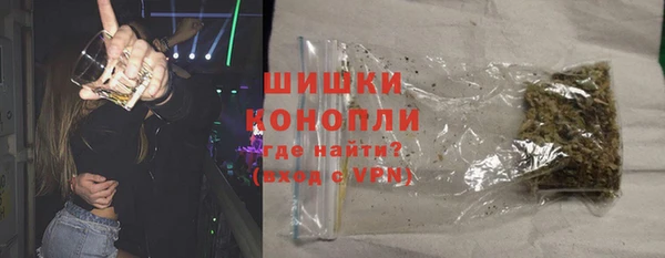 ECSTASY Костерёво