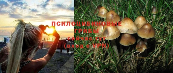 хмурый Фёдоровский