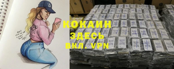 ECSTASY Костерёво
