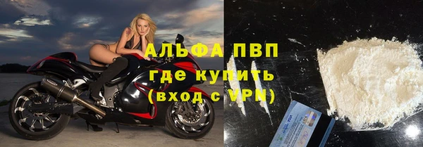 ПСИЛОЦИБИНОВЫЕ ГРИБЫ Коряжма