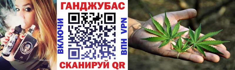 где можно купить   Фатеж  KRAKEN маркетплейс  Марихуана SATIVA & INDICA 